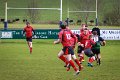 Monaghan 1st XV Vs Cavan 1st XV - Jan 24th 2015 (23)